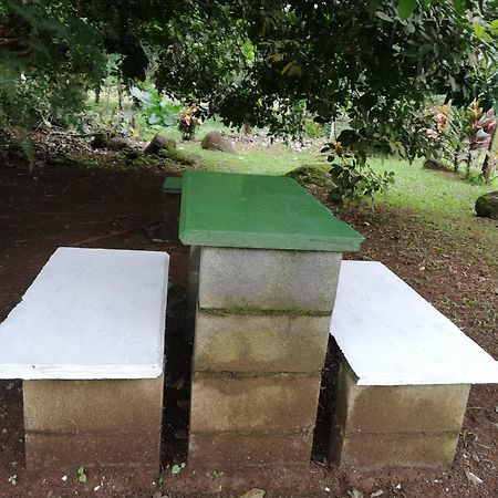 Paraiso Verde Siqurres Da Alegria 外观 照片