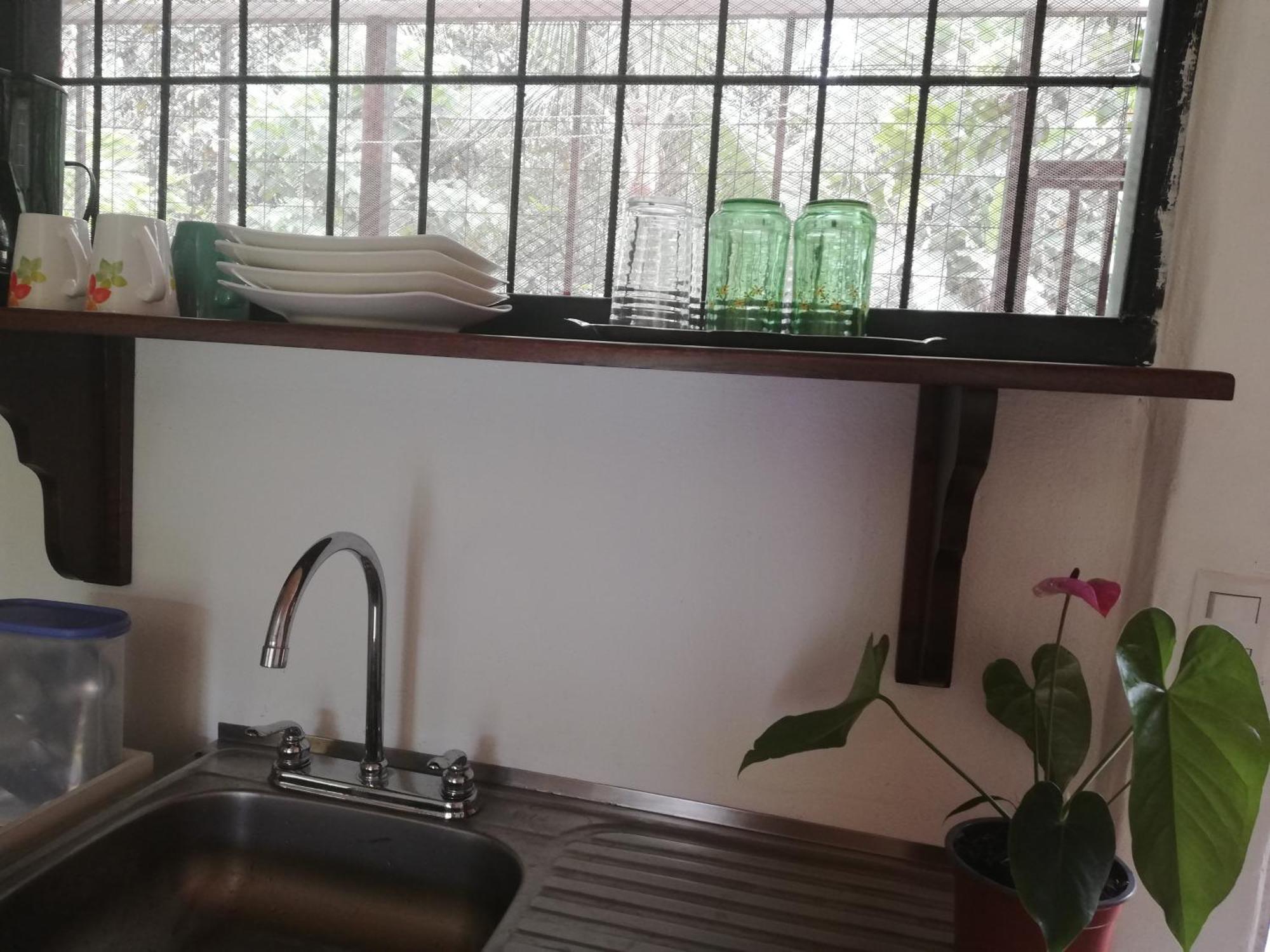 Paraiso Verde Siqurres Da Alegria 外观 照片
