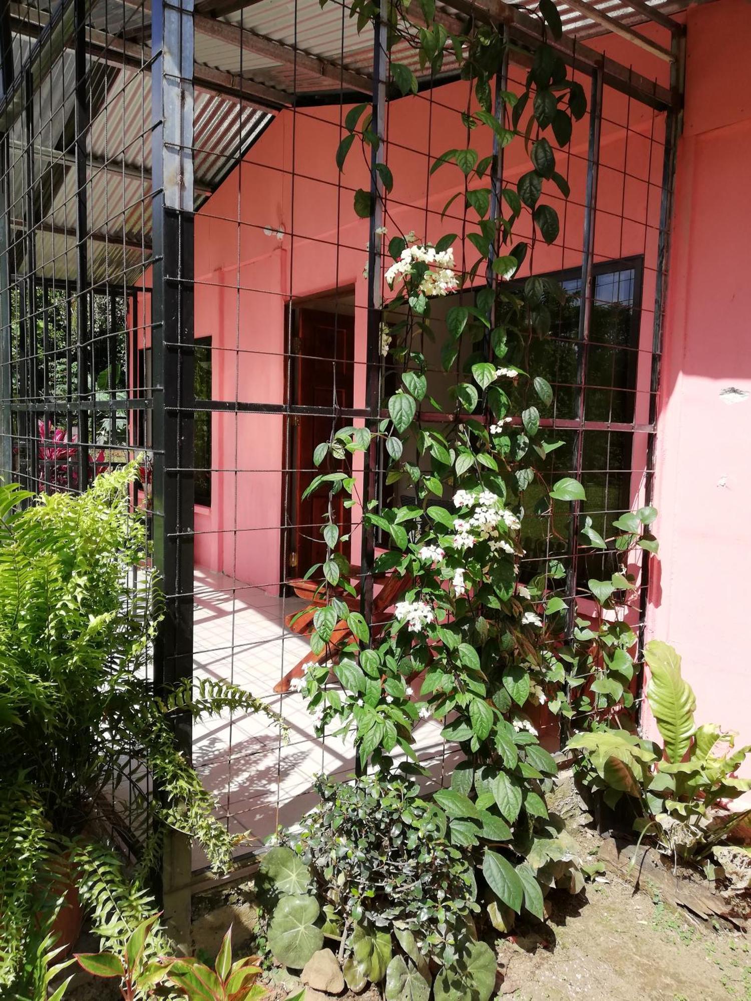 Paraiso Verde Siqurres Da Alegria 外观 照片