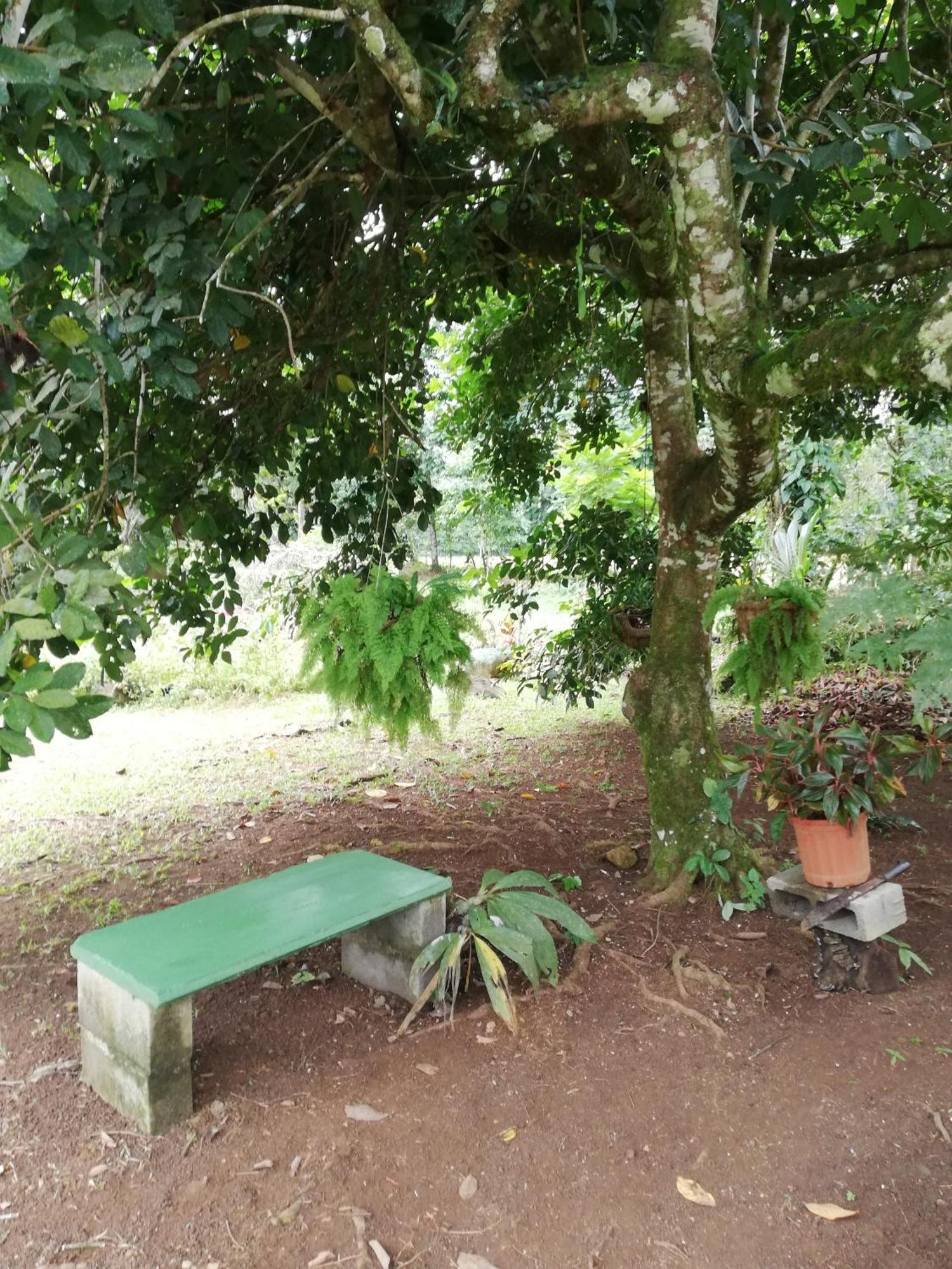 Paraiso Verde Siqurres Da Alegria 外观 照片