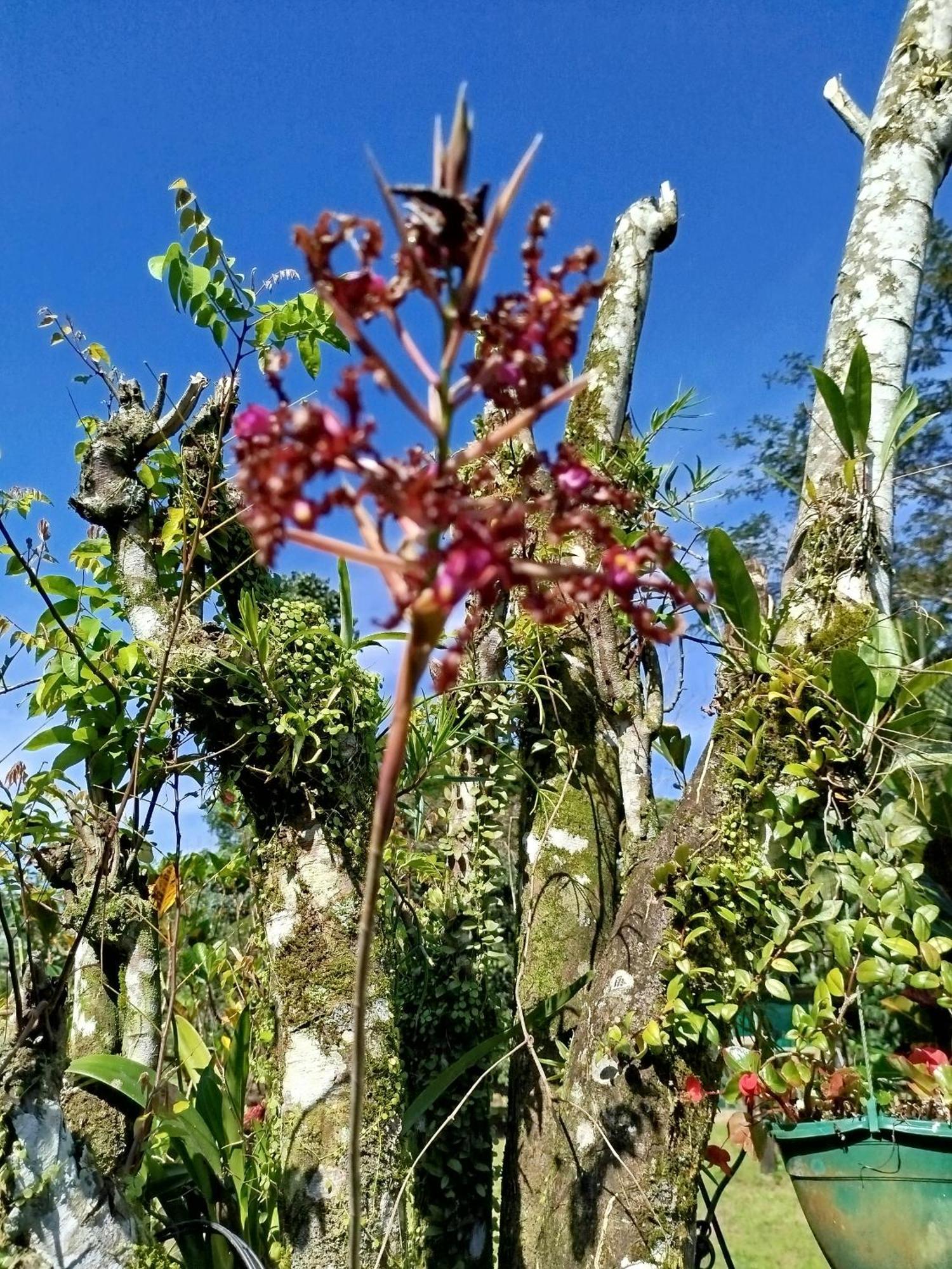 Paraiso Verde Siqurres Da Alegria 外观 照片