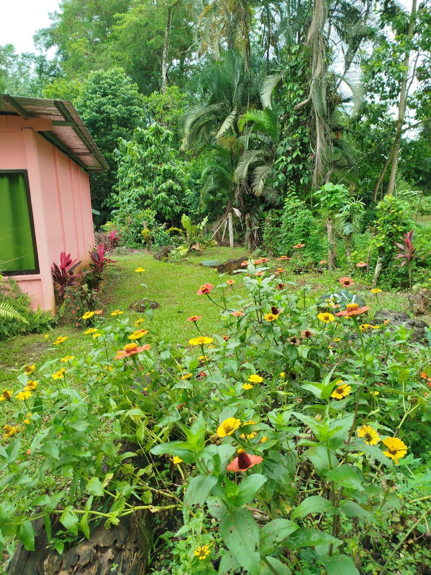Paraiso Verde Siqurres Da Alegria 客房 照片
